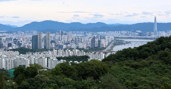 기관추천 특공제도 악용 명의대여 등 부동산 불법행위 집중 점검